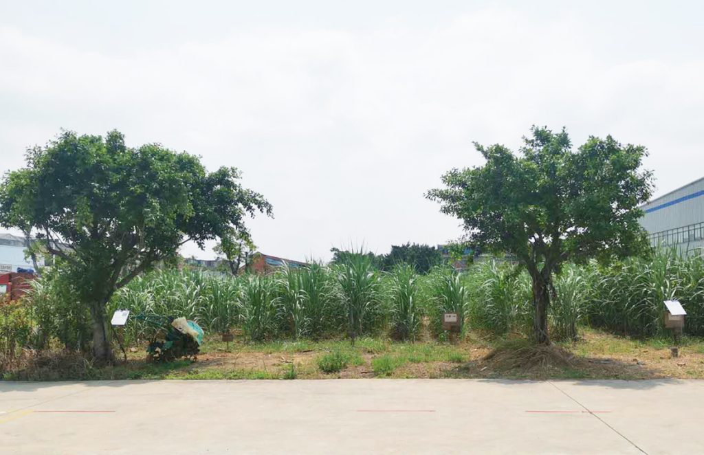 不朽情缘MG官方网站(试玩)游戏登录入口