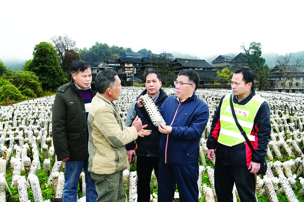 不朽情缘MG官方网站(试玩)游戏登录入口