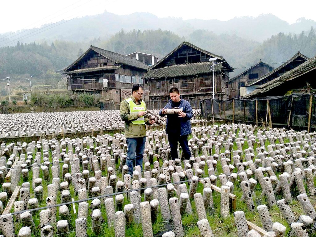 不朽情缘MG官方网站(试玩)游戏登录入口